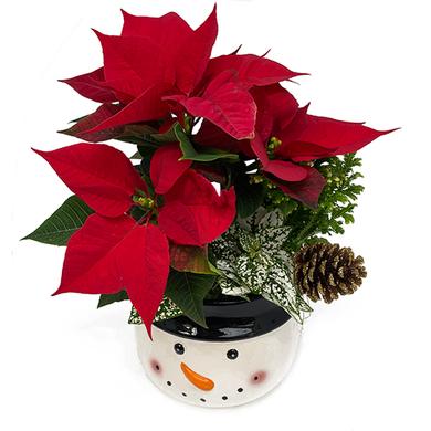 Arrangement de Noël - Poinsettia et bol bonhomme de neige 28,99$