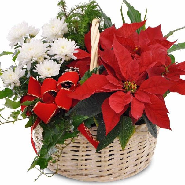 Arrangement de Noël -  39,99$