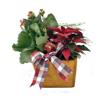 Arrangement panier en bois - format petit 39,99$