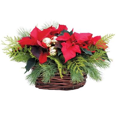 Christmas Arrangement / Wicker Basket / 39.99