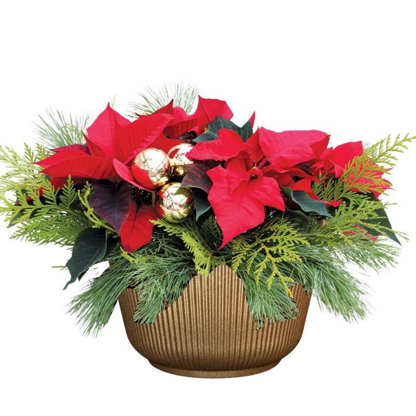 Arrangement de Noël  / 39.99$