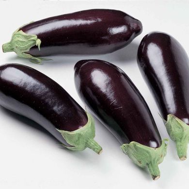 Eggplant from