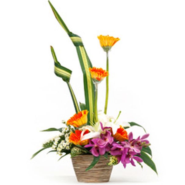 FLEURS-FUNERAIRE-LAVAL-13