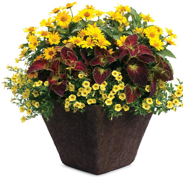 14 patio planter